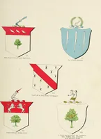 An illustration from A genealogical history of Irish families : with their crests and armorial bearings (1895)