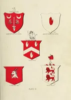 An illustration from A genealogical history of Irish families : with their crests and armorial bearings (1895)
