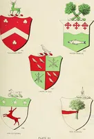 An illustration from A genealogical history of Irish families : with their crests and armorial bearings (1895)