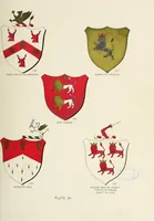 An illustration from A genealogical history of Irish families : with their crests and armorial bearings (1895)