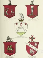 An illustration from A genealogical history of Irish families : with their crests and armorial bearings (1895)