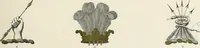 An illustration from A genealogical history of Irish families : with their crests and armorial bearings (1895)