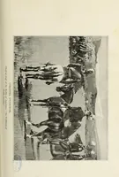 An illustration from A genealogical history of Irish families : with their crests and armorial bearings (1895)