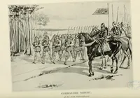 An illustration from A genealogical history of Irish families : with their crests and armorial bearings (1895)