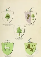 An illustration from A genealogical history of Irish families : with their crests and armorial bearings (1895)