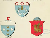 An illustration from A genealogical history of Irish families : with their crests and armorial bearings (1895)