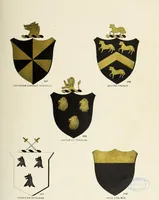 An illustration from A genealogical history of Irish families : with their crests and armorial bearings (1895)