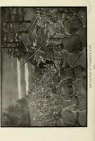 An illustration from A genealogical history of Irish families : with their crests and armorial bearings (1895)
