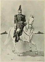 An illustration from A genealogical history of Irish families : with their crests and armorial bearings (1895)