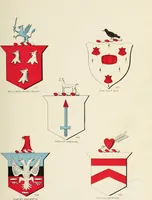 An illustration from A genealogical history of Irish families : with their crests and armorial bearings (1895)