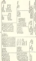 Picture 3 of 3 from The genealogist (1884), leaf 557
