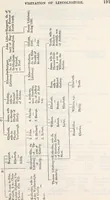 An illustration from The genealogist (1880)