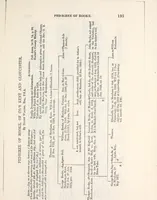 An illustration from The genealogist (1880)