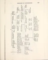 Picture 13 of 20 from The genealogist (1880), leaf 517