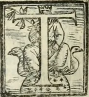 An illustration from Geneologia de gli dei : i qvin deci libri (1547)