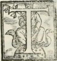 Picture 119 of 482 from Geneologia de gli dei : i qvin deci libri (1547), leaf 157