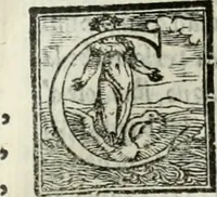 An illustration from Geneologia de gli dei : i qvin deci libri (1547)