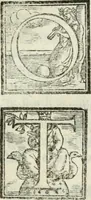 An illustration from Geneologia de gli dei : i qvin deci libri (1547)