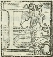 Picture 181 of 482 from Geneologia de gli dei : i qvin deci libri (1547), leaf 232