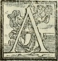Picture 216 of 482 from Geneologia de gli dei : i qvin deci libri (1547), leaf 258