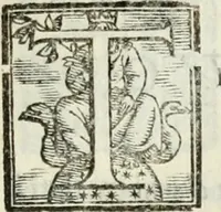 An illustration from Geneologia de gli dei : i qvin deci libri (1547)