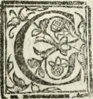 An illustration from Geneologia de gli dei : i qvin deci libri (1547)