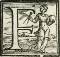 Picture 237 of 482 from Geneologia de gli dei : i qvin deci libri (1547), leaf 281