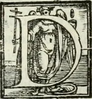 An illustration from Geneologia de gli dei : i qvin deci libri (1547)