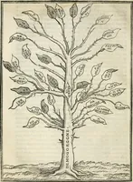 Picture 6 of 482 from Geneologia de gli dei : i qvin deci libri (1547), leaf 29
