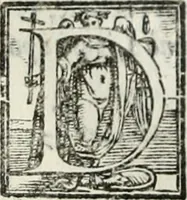 Picture 251 of 482 from Geneologia de gli dei : i qvin deci libri (1547), leaf 293