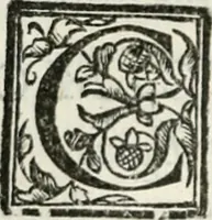 An illustration from Geneologia de gli dei : i qvin deci libri (1547)