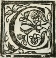 An illustration from Geneologia de gli dei : i qvin deci libri (1547)
