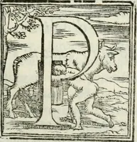 An illustration from Geneologia de gli dei : i qvin deci libri (1547)