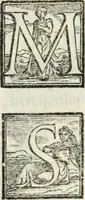 Picture 295 of 482 from Geneologia de gli dei : i qvin deci libri (1547), leaf 345