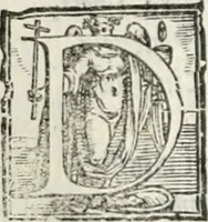 An illustration from Geneologia de gli dei : i qvin deci libri (1547)