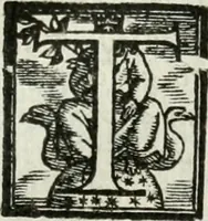 An illustration from Geneologia de gli dei : i qvin deci libri (1547)