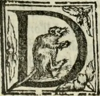 An illustration from Geneologia de gli dei : i qvin deci libri (1547)