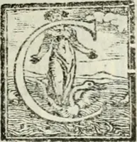 Picture 325 of 482 from Geneologia de gli dei : i qvin deci libri (1547), leaf 378