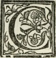 An illustration from Geneologia de gli dei : i qvin deci libri (1547)