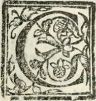 An illustration from Geneologia de gli dei : i qvin deci libri (1547)