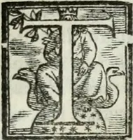 An illustration from Geneologia de gli dei : i qvin deci libri (1547)