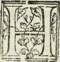An illustration from Geneologia de gli dei : i qvin deci libri (1547)