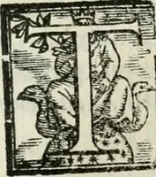An illustration from Geneologia de gli dei : i qvin deci libri (1547)