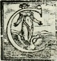 An illustration from Geneologia de gli dei : i qvin deci libri (1547)