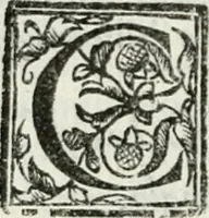 An illustration from Geneologia de gli dei : i qvin deci libri (1547)