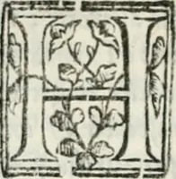 An illustration from Geneologia de gli dei : i qvin deci libri (1547)