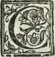 An illustration from Geneologia de gli dei : i qvin deci libri (1547)