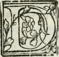 An illustration from Geneologia de gli dei : i qvin deci libri (1547)