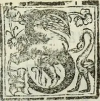 Picture 431 of 482 from Geneologia de gli dei : i qvin deci libri (1547), leaf 488