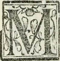 An illustration from Geneologia de gli dei : i qvin deci libri (1547)
